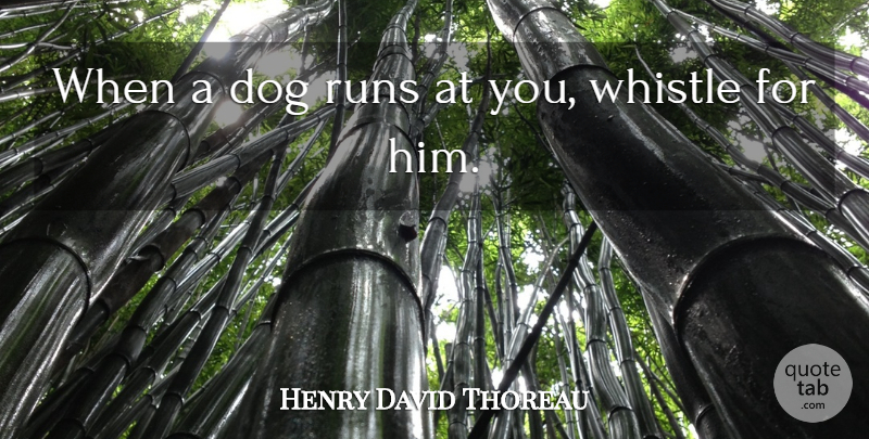 Henry David Thoreau Quote About Running, Dog, Pet: When A Dog Runs At...