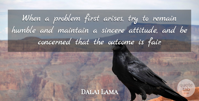 Dalai Lama Quote About Attitude, Humble, Trying: When A Problem First Arises...
