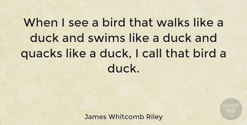 James Whitcomb Riley Quote About Call, Nature, Swims, Walks: When I See A Bird...