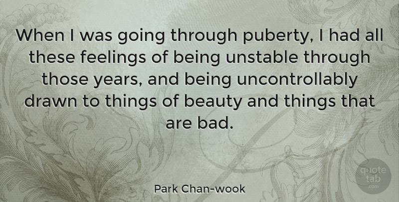 Park Chan-wook Quote About Beauty, Drawn, Unstable: When I Was Going Through...