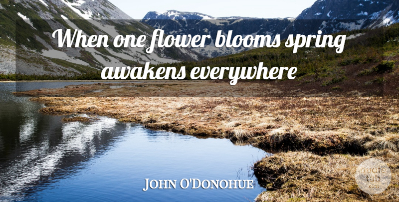 John O'Donohue Quote About Spring, Flower, Blooming Flower: When One Flower Blooms Spring...