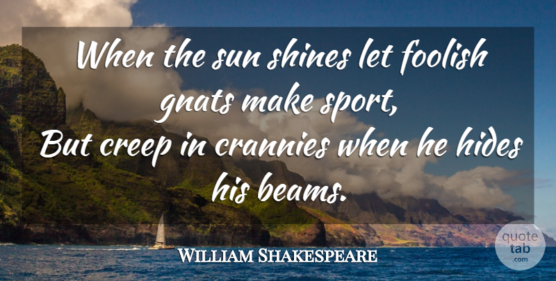 William Shakespeare Quote About Sports, Gnats, Shining: When The Sun Shines Let...