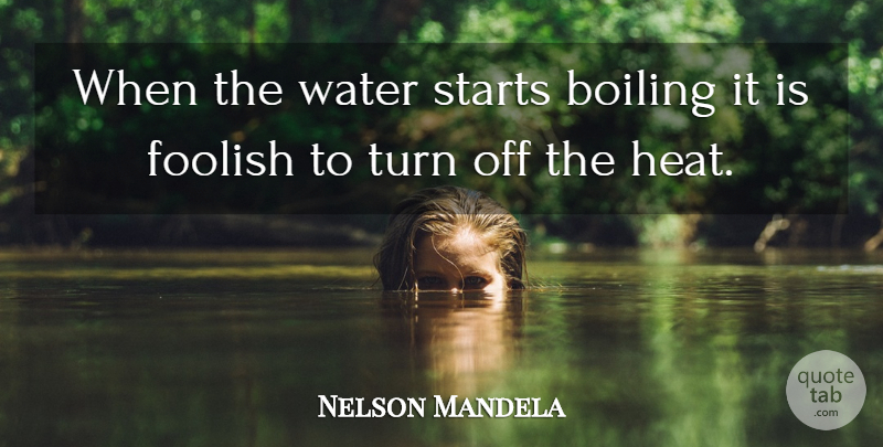 Nelson Mandela Quote About Inspiring, Stupid, Water: When The Water Starts Boiling...