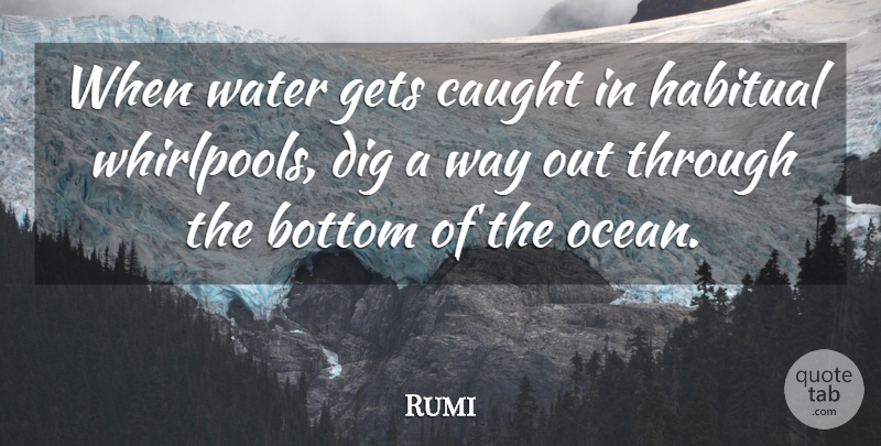 Rumi Quote About Ocean, Water, Way: When Water Gets Caught In...