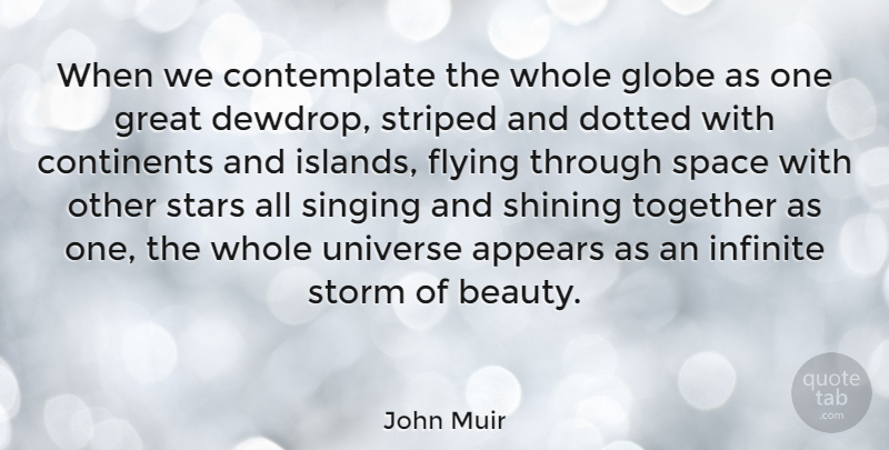 John Muir Quote About Beauty, Nature, Stars: When We Contemplate The Whole...
