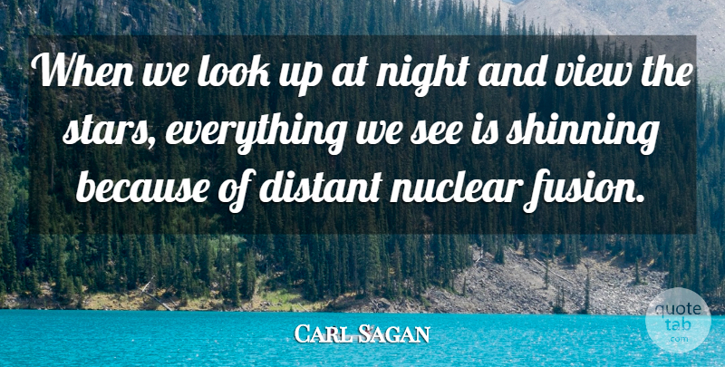 Carl Sagan Quote About Stars, Night, Views: When We Look Up At...
