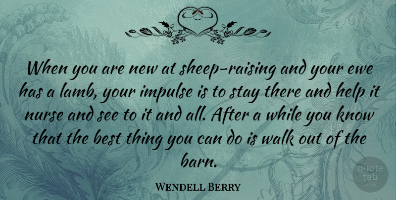 Wendell Berry Quote About Sheep, Nurse, Barns: When You Are New At...