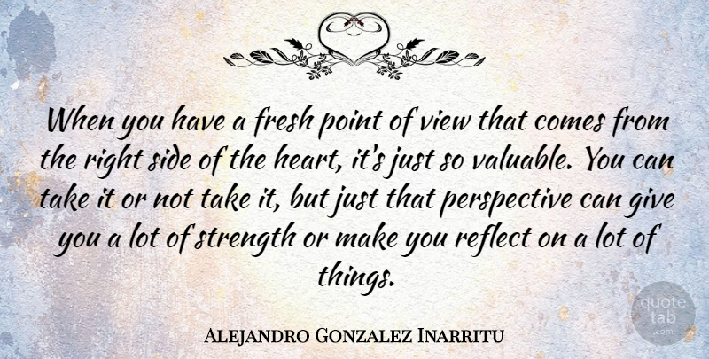 Alejandro Gonzalez Inarritu Quote About Fresh, Perspective, Point, Reflect, Side: When You Have A Fresh...