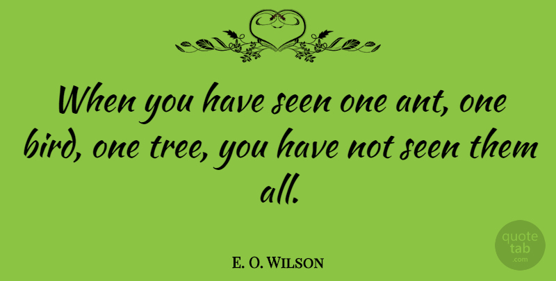 E. O. Wilson Quote About Tree, Bird, Ants: When You Have Seen One...