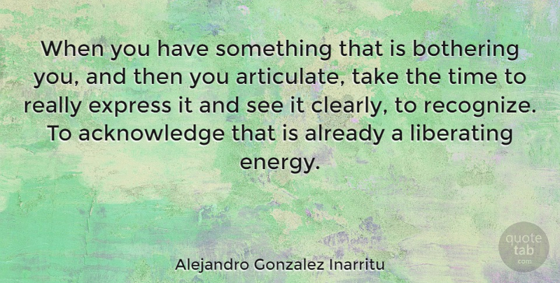 Alejandro Gonzalez Inarritu Quote About Bothering, Express, Liberating, Time: When You Have Something That...