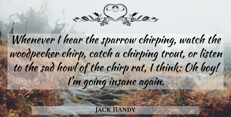 Jack Handy Quote About Catch, Hear, Howl, Insane, Listen: Whenever I Hear The Sparrow...