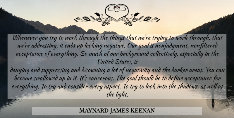Maynard James Keenan Quote About Acceptance, Light, Goal: Whenever You Try To Work...