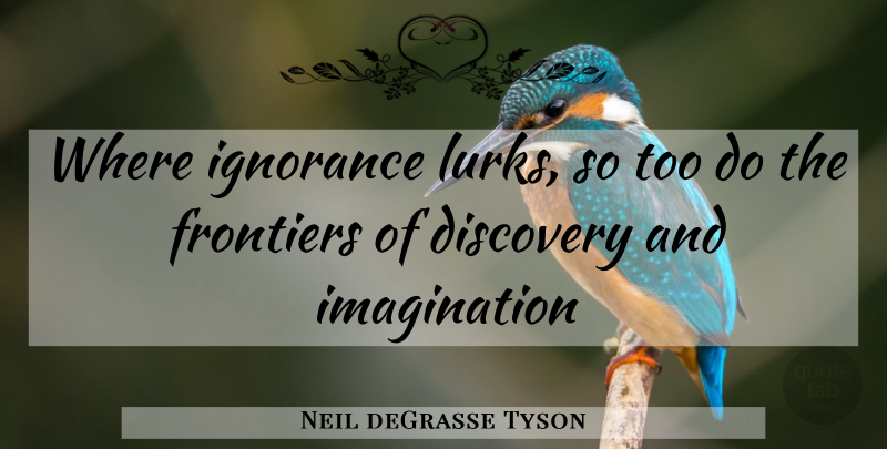 Neil deGrasse Tyson Quote About Ignorance, Discovery, Imagination: Where Ignorance Lurks So Too...