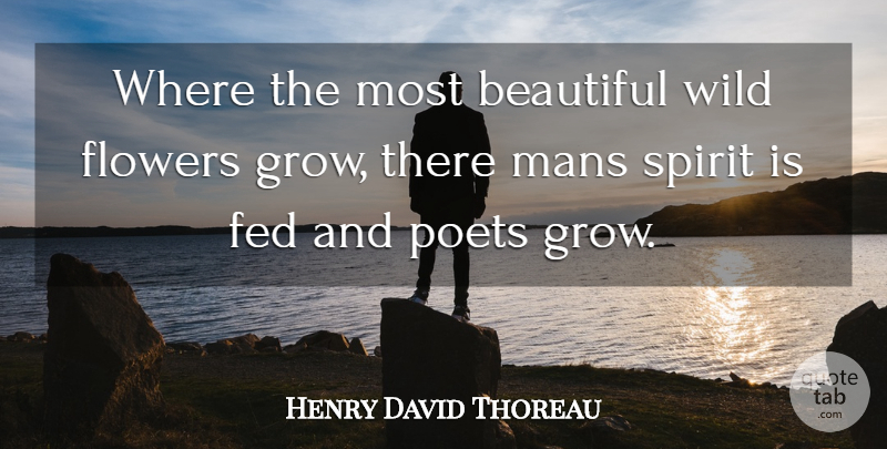 Henry David Thoreau Quote About Beautiful, Flower, Spirit: Where The Most Beautiful Wild...
