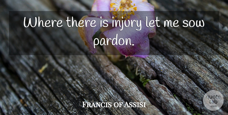 Francis of Assisi Quote About Madness, Injury, Pardon Me: Where There Is Injury Let...
