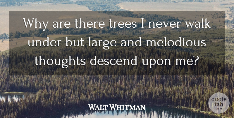 Walt Whitman Quote About Tree, Walks, Walking: Why Are There Trees I...