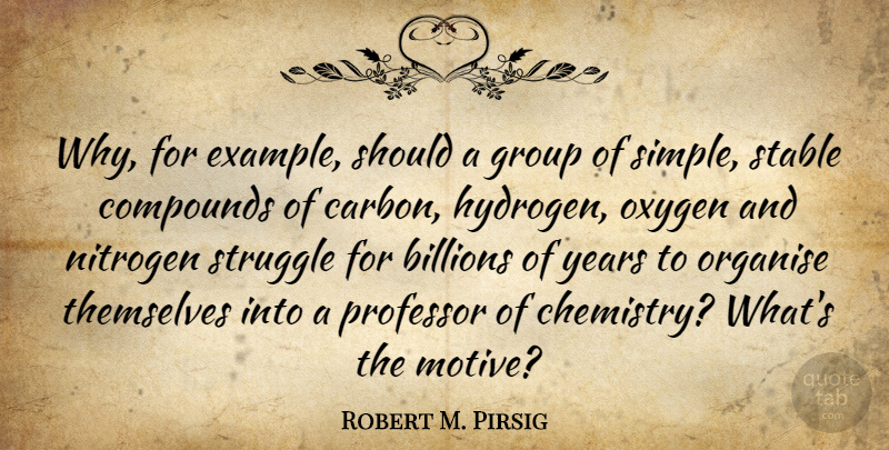 Robert M. Pirsig Quote About Struggle, Simple, Oxygen: Why For Example Should A...