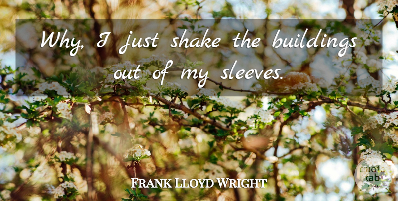 Frank Lloyd Wright Quote About Artist, Building, Architect: Why I Just Shake The...