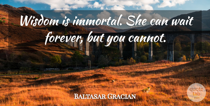Baltasar Gracian Quote About Wisdom, Forever, Waiting: Wisdom Is Immortal She Can...