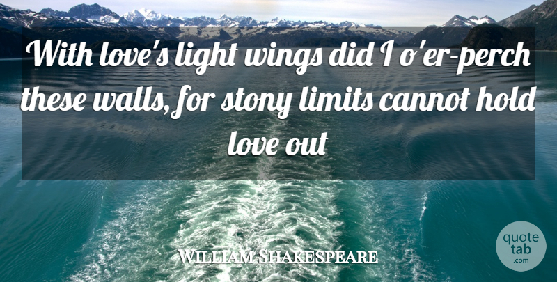 William Shakespeare Quote About Wall, Love You, Wings: With Loves Light Wings Did...