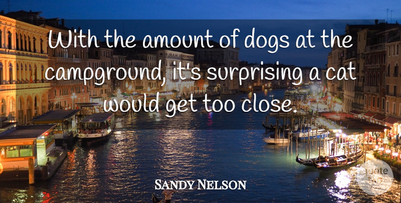 Sandy Nelson Quote About Amount, Cat, Dogs, Surprising: With The Amount Of Dogs...