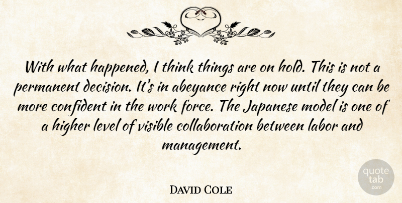 David Cole Quote About Confident, Higher, Japanese, Labor, Level: With What Happened I Think...