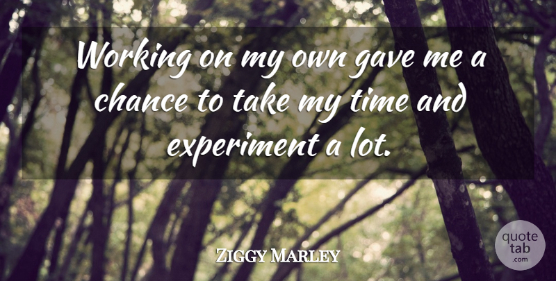 Ziggy Marley Quote About Chance, Experiments, My Own: Working On My Own Gave...