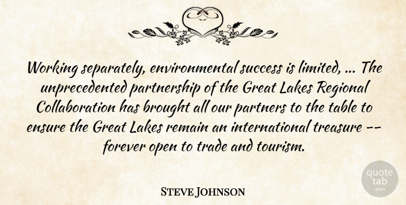 Steve Johnson Quote About Brought, Ensure, Environmental, Forever, Great: Working Separately Environmental Success Is...