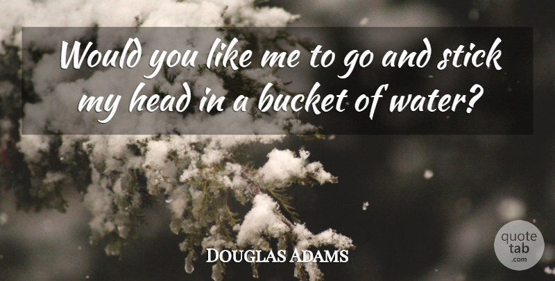 Douglas Adams Quote About Water, Sticks, Buckets: Would You Like Me To...