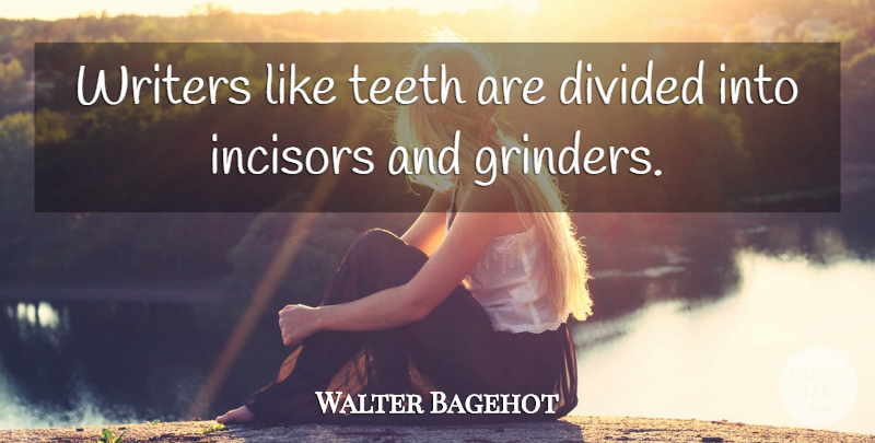 Walter Bagehot Quote About Writing, Teeth, Grinder: Writers Like Teeth Are Divided...