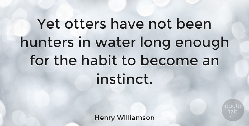 Henry Williamson Quote About Otters, Water, Long: Yet Otters Have Not Been...