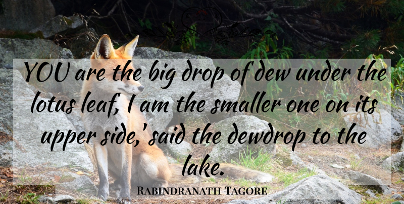 Rabindranath Tagore Quote About Lakes, Lotuses, Sides: You Are The Big Drop...