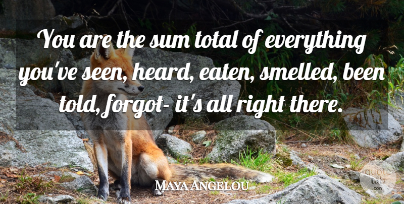 Maya Angelou Quote About Positivity, Heard: You Are The Sum Total...