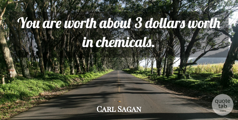 Carl Sagan Quote About Dollars, Chemicals: You Are Worth About 3...