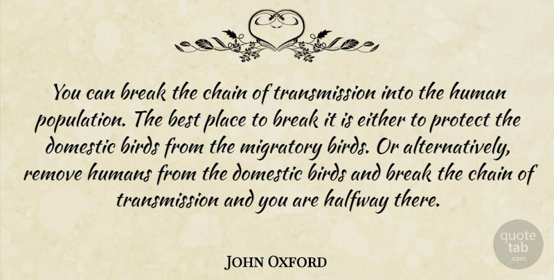 John Oxford Quote About Best, Birds, Break, Chain, Domestic: You Can Break The Chain...