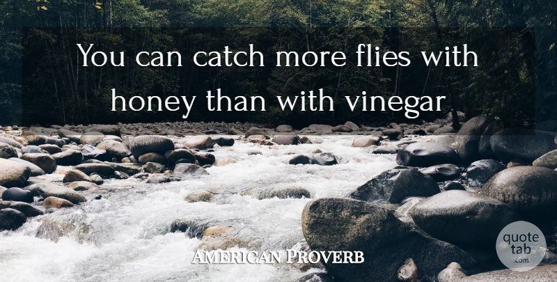 American Proverb Quote About Catch, Flies, Honey, Vinegar: You Can Catch More Flies...