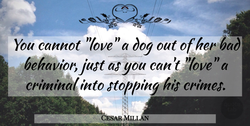 Cesar Millan Quote About Dog, Stopping, Criminals: You Cannot Love A Dog...