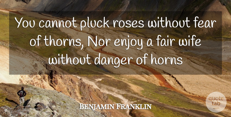 Benjamin Franklin Quote About Cannot, Danger, Enjoy, Fair, Fear: You Cannot Pluck Roses Without...
