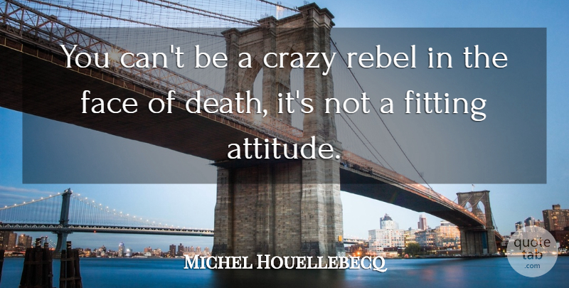Michel Houellebecq Quote About Attitude, Death, Face, Fitting, Rebel: You Cant Be A Crazy...