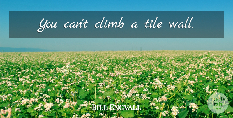 Bill Engvall Quote About Wall, Tiles, Climbs: You Cant Climb A Tile...