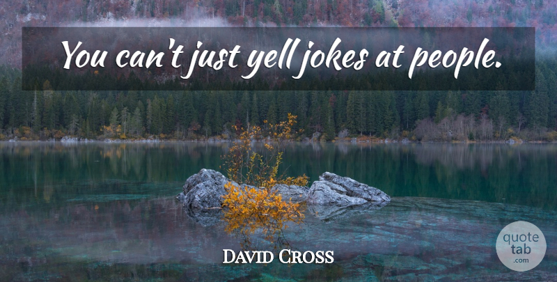 David Cross Quote About People, Jokes: You Cant Just Yell Jokes...