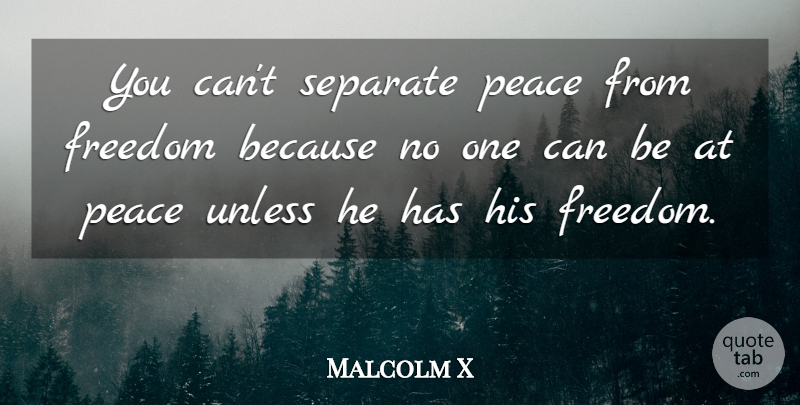 Malcolm X Quote About Peace, Freedom, Inspiration: You Cant Separate Peace From...