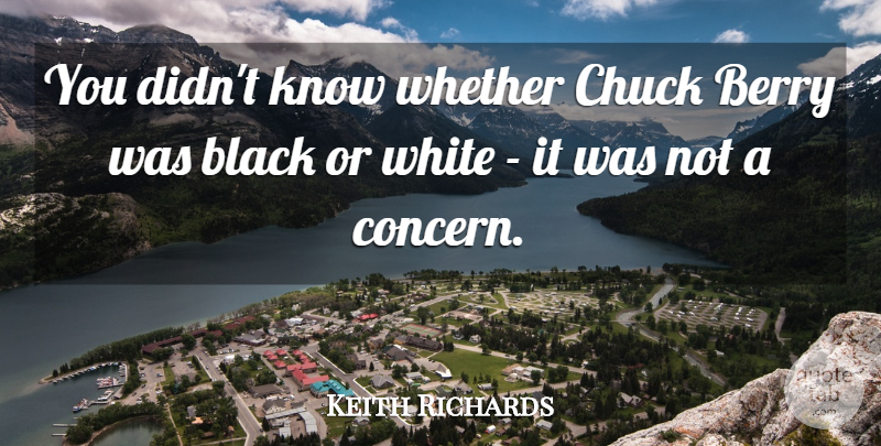Keith Richards Quote About White, Black, Berries: You Didnt Know Whether Chuck...