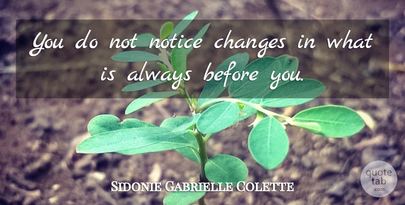 Sidonie Gabrielle Colette Quote About Change: You Do Not Notice Changes...