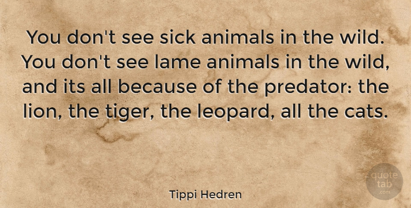 Tippi Hedren Quote About Cat, Animal, Sick: You Dont See Sick Animals...