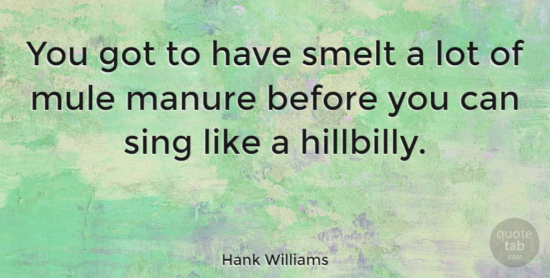 Hank Williams Quote About American Musician: You Got To Have Smelt...