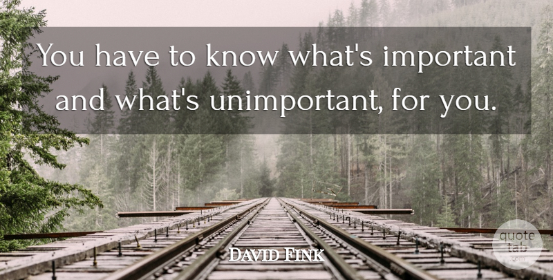 David Fink Quote About Self Knowledge: You Have To Know Whats...