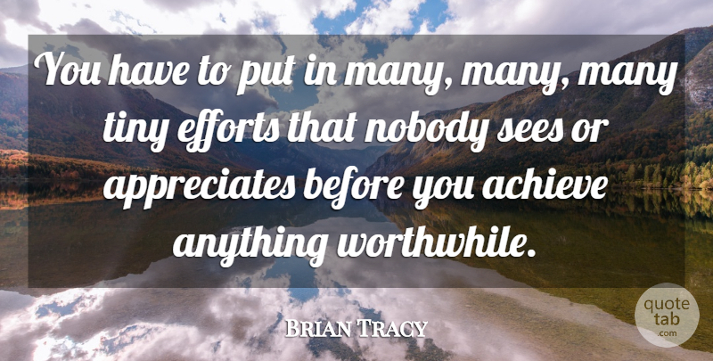 Brian Tracy Quote About Hard Work, Appreciate, Effort: You Have To Put In...