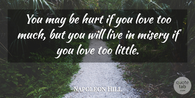 Napoleon Hill Quote About Hurt, Too Much, May: You May Be Hurt If...