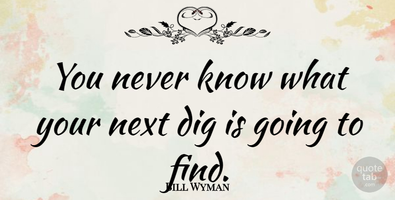 Bill Wyman Quote About Next, Knows: You Never Know What Your...